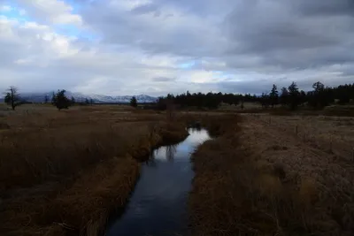 DSC_2930 (Large).JPG